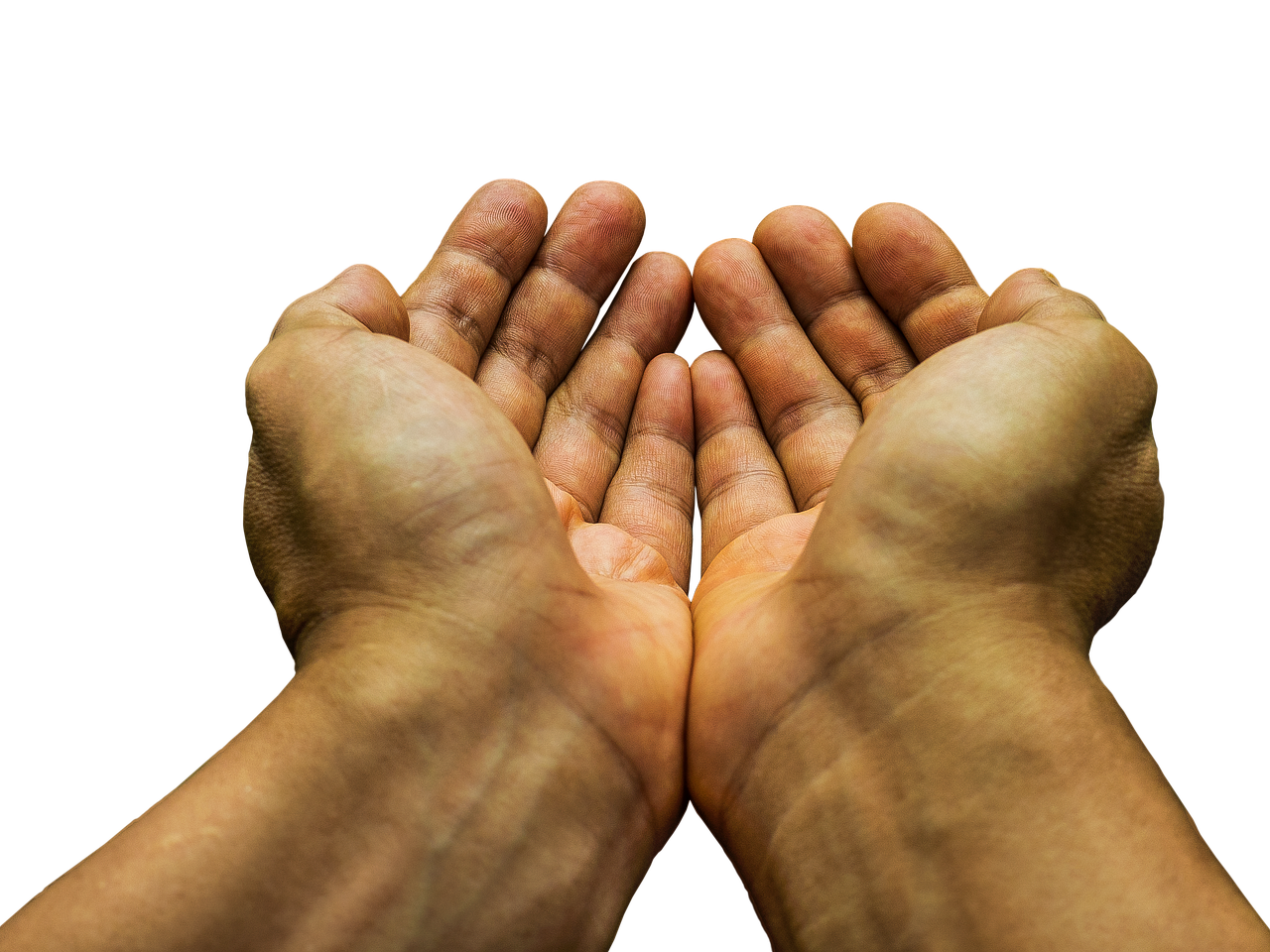 About Padmpani Foundation